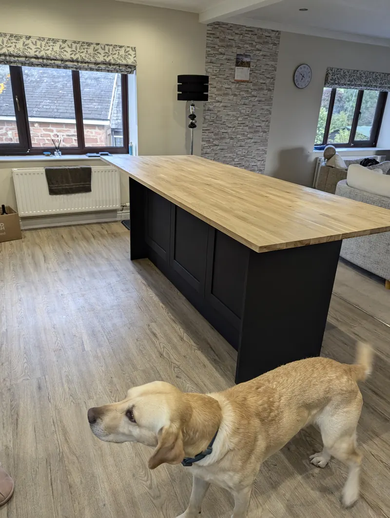 Kitchen island with a dog wandering past